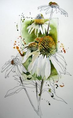 watercolor painting of white flowers with green background