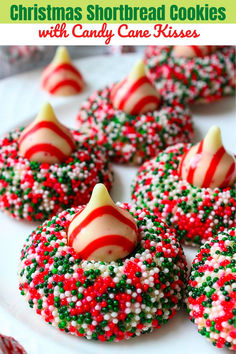 Peppermint kiss cookies baked as shortbread cookies Christmas Kiss Cookies, Peppermint Kiss Cookies, Fun Christmas Cookies, Christmas Cookies Ideas, Allergy Friendly Cookies, Candy Cane Cookie Recipe, Holiday Baking Gifts, Easy Holiday Baking, Shortbread Cookies Christmas