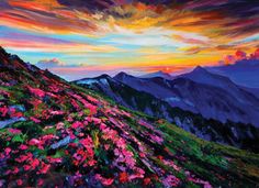 an oil painting of flowers on a hill at sunset with mountains in the background and clouds