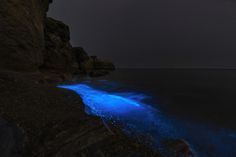 the water is glowing blue at night by the rocks