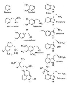 an image of different types of vitamins and their respective names on a white background