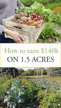 Farming On 5 Acres, 1 Acre Farm Layout Vegetable Garden, How Many Acres For Homestead, 1.5 Acre Homestead Layout, Green House Set Up Inside, 5 Acre Homestead Layout Hobby Farms, How To Start A Farm, 1 Acre Homestead Layout Small Farm, Market Garden Layout