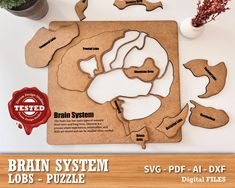 the brain system puzzle is made out of cardboard and has several pieces cut out from it