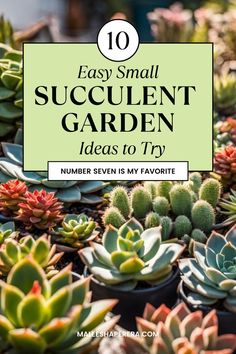 Succulent Garden Ideas Succulent Garden Ideas, Tiny Balcony, Vertical Planter, Cozy Patio, Diy Art Projects, Small Outdoor Spaces, Small Succulents, Container Gardens