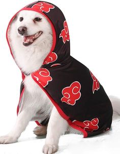 a white dog wearing a black and red hoodie