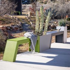 there is a bench that has a cactus in it