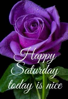 a purple rose with the words happy saturday today is nice