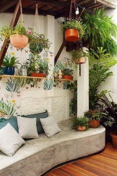 a room filled with lots of potted plants on top of a wall next to a bed