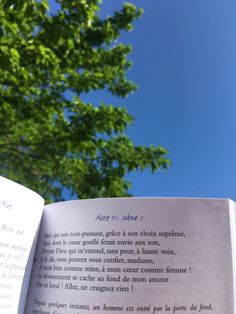 an open book sitting in front of a tree