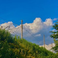 the power lines are high in the sky above the trees and bushes on the side of the road