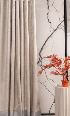 an orange plant sitting on top of a table next to a window