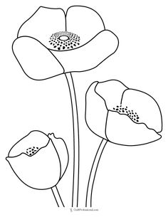 three flowers that are black and white