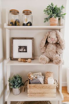 a stuffed animal sitting on top of a book shelf next to a potted plant