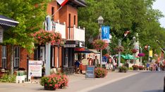 a street lined with shops and flowers on both sides of the road in front of trees