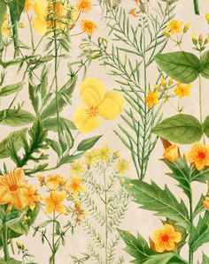 a painting of yellow flowers and green leaves