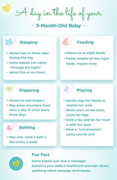 a baby info sheet with instructions on how to use it