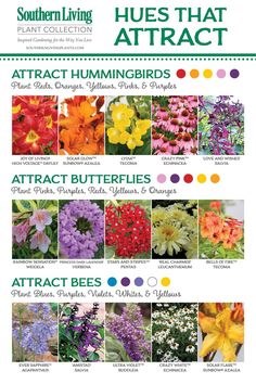 the cover of southern living's annual catalog shows different types of flowers and their names