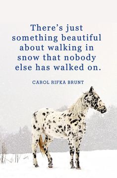 a white and black spotted horse standing in the snow with a quote from andy woodward