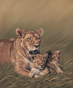 an oil painting of two lions laying in the grass with their cubs looking at the camera