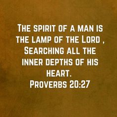 the spirit of a man is the lamp of the lord, searching all the inner paths of his heart proves 20 27