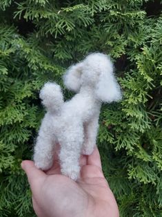 a hand holding a small white poodle in front of some green bushes and trees