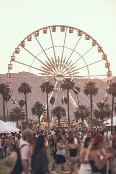 a crowd of people standing around a ferris wheel with palm trees in the foreground