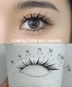 Contact for buy images: hinhanhmarketing@gmail.com Asian Lash Extensions Mapping, Lash Extensions Mapping Styles Anime, Manhua Eyelash Extensions, Eyelash Map, Anime Eyes Lash Extensions, Lash Mapping, Eyelash Technician, Natural Eyelash Extensions