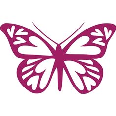 a purple butterfly on a white background