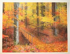 a wooden bridge in the middle of a forest filled with fall colored trees and leaves