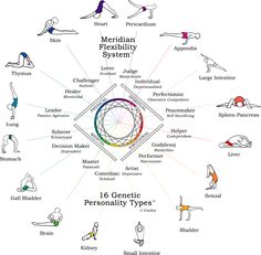 the genius of flexibility is depicted in this diagram