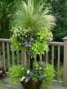 a potted plant with purple and white flowers in it on a deck next to trees