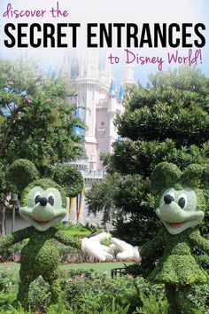 the characters from disney world in front of a castle with text overlay that reads, discovering the secret entrance to disney world