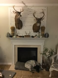 a fireplace with two deer heads mounted on the mantel above it and a dog bed underneath