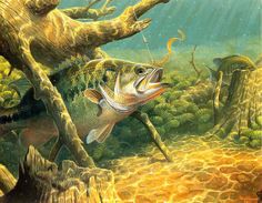 an image of a fish in the water with another fish nearby on the ground and trees