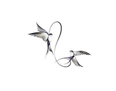 two birds flying next to each other on a white background