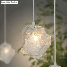 three glass lights hanging from a ceiling in front of a green plant with leaves on it