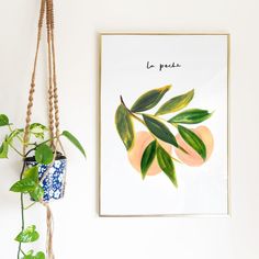 there is a plant hanging on the wall next to a potted plant in a vase