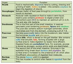 two different types of food that are labeled in the following words, each with an individual's name