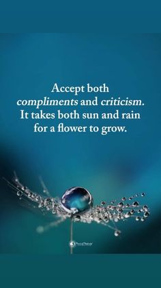 a drop of water on top of a dandelion with the words accept both compliments and criciism it takes both sun and rain for a flower to grow