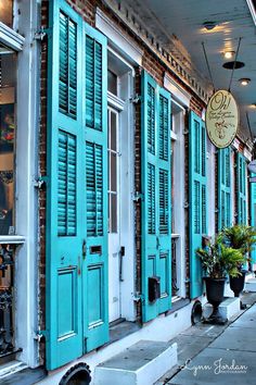 blue shuttered windows line the side of a building with potted plants in front