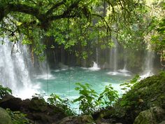 the waterfall is surrounded by green plants and rocks, with water running down it's sides