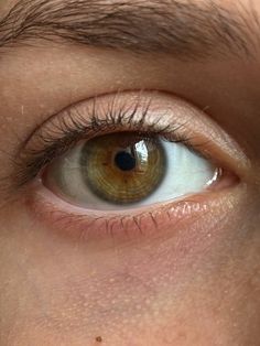 Green Heterochromia Eyes, Glowing Green Eyes Aesthetic, Heterochromia Eyes Brown And Green, Central Heterochromia Eyes Green Brown, One Green One Brown Eye Heterochromia, Amazing Eyes, Eye Contact, Hazel Eyes