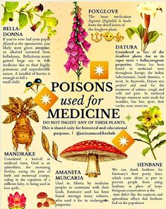 a poster with different types of flowers and plants on it's back side, including the words poisons used for medicine