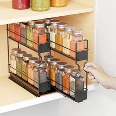 an organized spice rack holds spices and seasonings