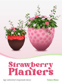 two strawberry planters with flowers in them on a pink and green cover for the magazine