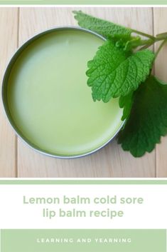 Lemon Balm Cold Sore Lip Balm Recipe