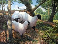 three white sheep standing next to each other on a forest covered with grass and trees