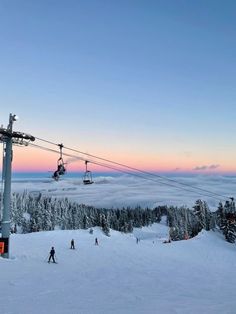 #winter #winterwonderland #winteractivities #snow #cold
skiing, sun, winter, friends, snow, cold, piste, slopes, fun, nordic, scandinavia Ski Pics, Skiing Aesthetic, Ski Aesthetic, Snow Trip, Ski Girl, Mt Hood, Ski Season, Pretty Landscapes, Dream Travel Destinations