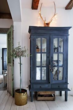 a tall blue cabinet sitting next to a potted plant on top of a wooden floor