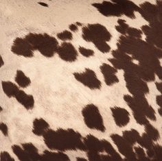 an animal print pattern is shown on the back of a cow's fur,